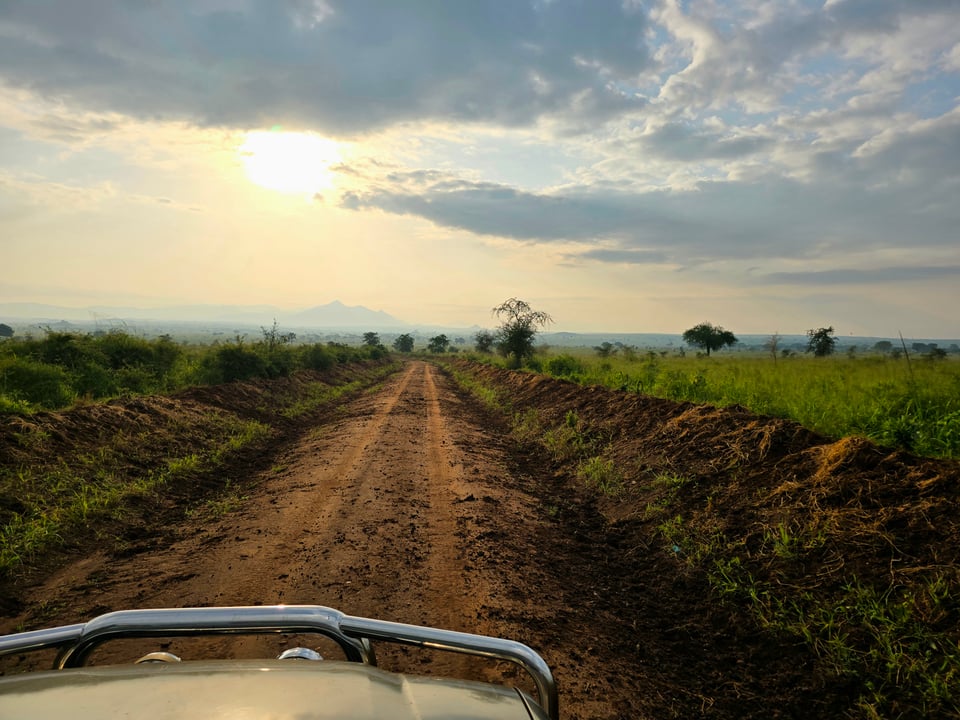 Uitzicht over de bullbar van een 4x4 op een rode zandweg door de groene graslanden van Oeganda, met een laagstaande zon.