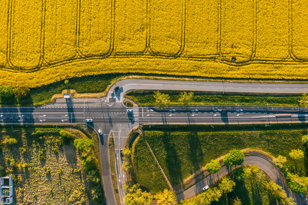 Gele velden langs de snelweg in Polen
