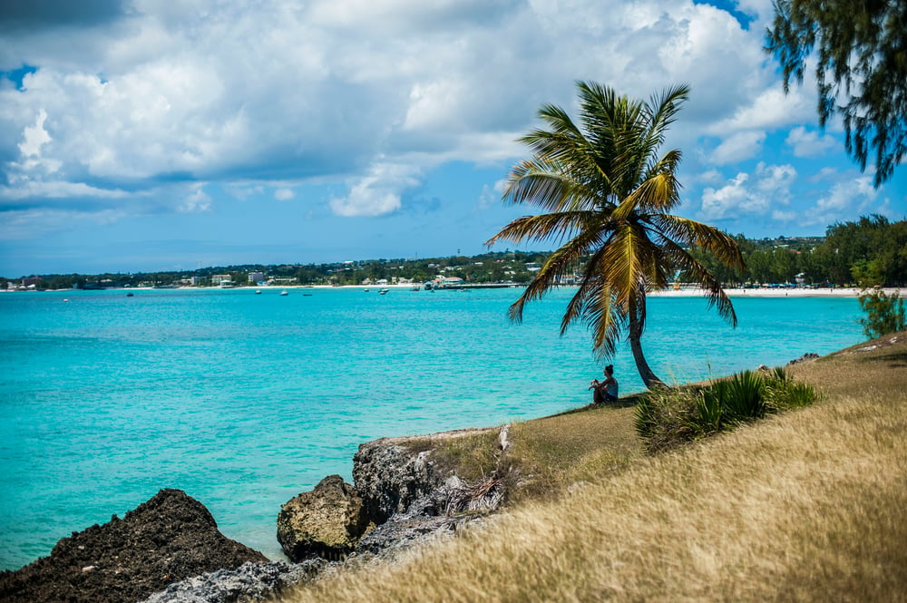 Uitzicht op de kust van Barbados